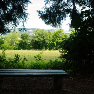Bank am Waldrand mit Blick