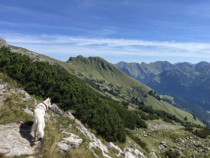 Foto von Gert Schulz entlang der Tour