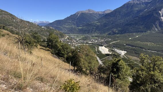 Fotografija s spletne strani peter_oe na poti