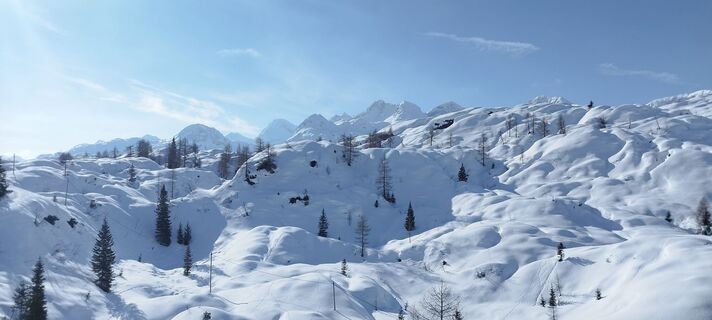 Fotografija s spletne strani veronika bozic na poti