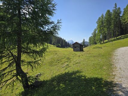 Fotografija s spletne strani enipeus 65 na poti