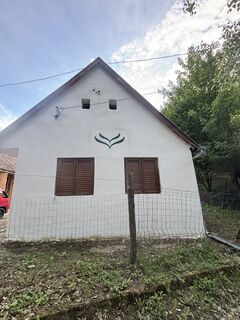 Foto de Reti Alicia a lo largo del recorrido