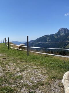 Foto von Voltzi entlang der Tour