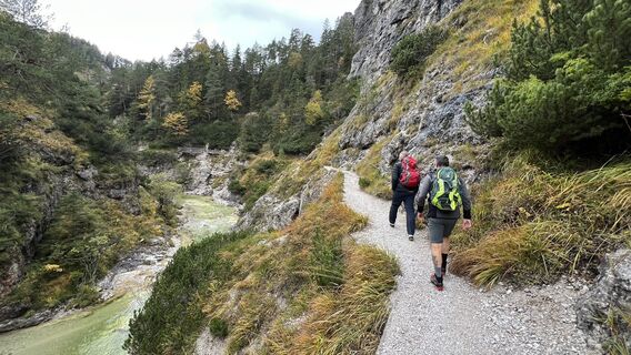 Foto da Roman Pammer lungo il tour