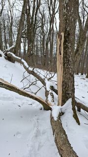 Foto von Márti entlang der Tour