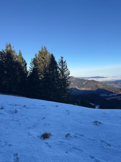 Foto de Irmi Lechner a lo largo del recorrido
