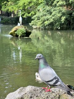 Foto von Temistocle Pacifico entlang der Tour
