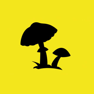 Symbol Tour Pilz