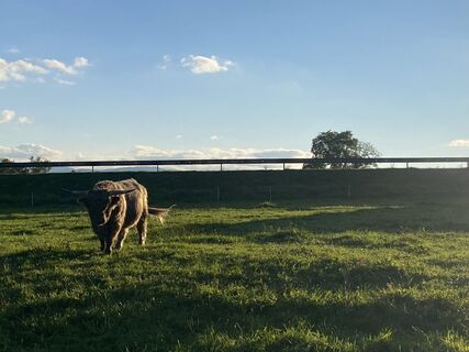 Foto von Sven Krieblin entlang der Tour