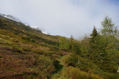 Nach der Baumgrenze ist der Stieg noch gut ersichtlich