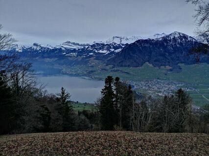 Fotografie de la luyyy de-a lungul turului