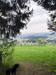Photo de Silvia Jungwirth le long du parcours