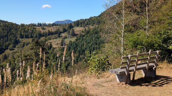 Bernau im Schwarzwald Zu den Glanzpunkten über dem Hochtal (2)