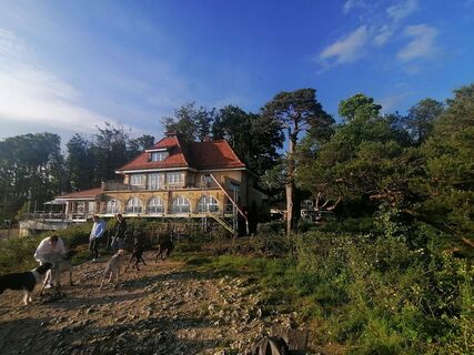 Foto från luyyy under resans gång