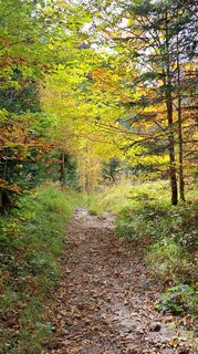 Foto da Gerhard Faugel lungo il tour