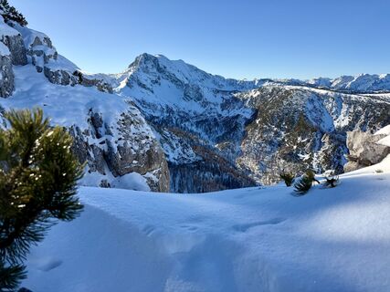 Foto von Natur_erleben_dg entlang der Tour