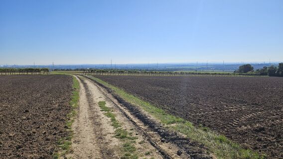 Fotografia z Robert8992 na trase