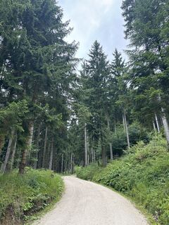 Foto von Heinz Sperl entlang der Tour