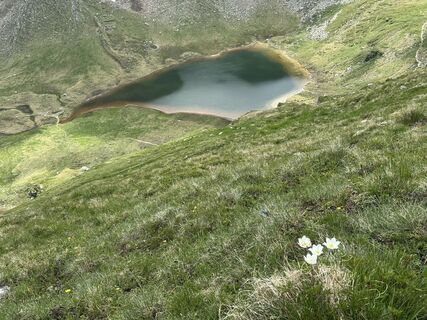 Foto von radhausberg entlang der Tour