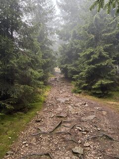Fotografia z Kristijan Držaj na trase