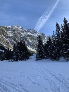 Fotografija s spletne strani Ursula Behr na poti