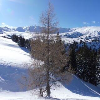 Winterlandschaft im Kar