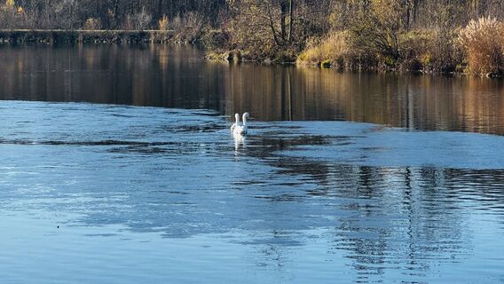 Photo from Sonja Kessler along the tour