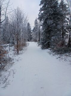 Fotografia z Daniel Kremiec na trase