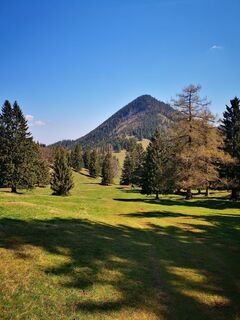 Foto de 3d63 ru^^n3r a lo largo del recorrido