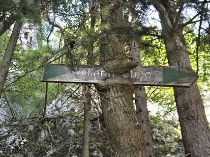 Photo de josef duermoser le long du parcours