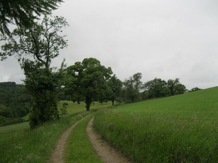 Laaben - Wilhelmsburg