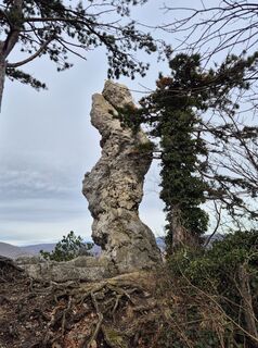 Photo de josef duermoser le long du parcours