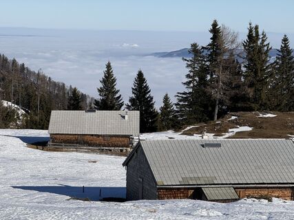 Fotografija s spletne strani Natur_erleben_dg na poti