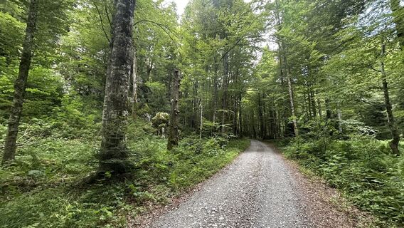 Foto de divancan a lo largo del recorrido