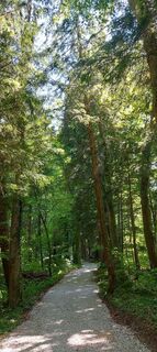 Foto de Hans Klamer a lo largo del recorrido