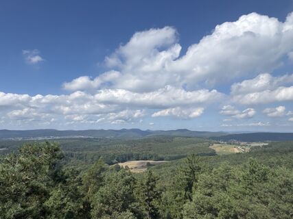 Fotografija s spletne strani Tyx De na poti
