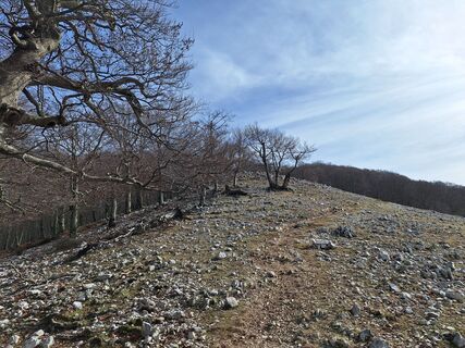 Foto de Gianfranco zupancich a lo largo del recorrido