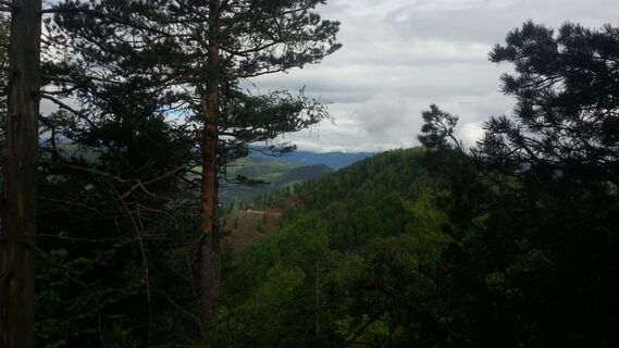 Ausblick