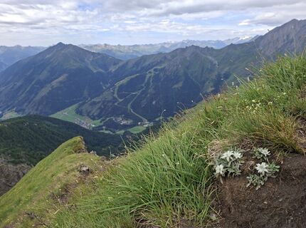 Foto von Sommeregger Hans entlang der Tour