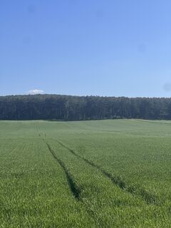 Fotografija s spletne strani Patrick 30 na poti
