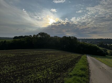 Photo de Schaali le long du parcours