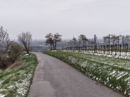 Foto von Poschacher entlang der Tour