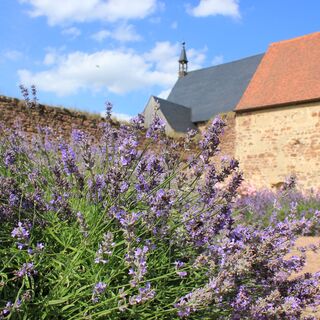 Kloster Buch