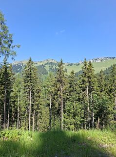 Photo de christian_75 le long du parcours