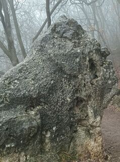 Foto von Julika Jármer entlang der Tour