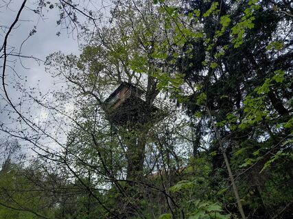 Foto de Christian Graf a lo largo del recorrido