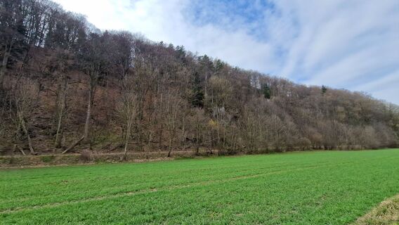 Foto von EP87 entlang der Tour