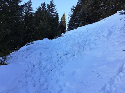 Фото с сайта Thomas Möller во время экскурсии