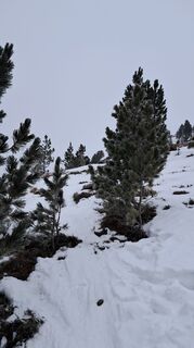 Fotografie z Urban Wille na trase