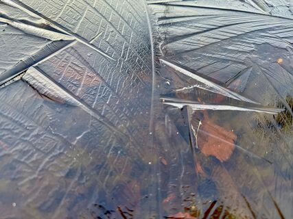 Photo de Dani Geiger / Natur_erleben_dg le long du parcours